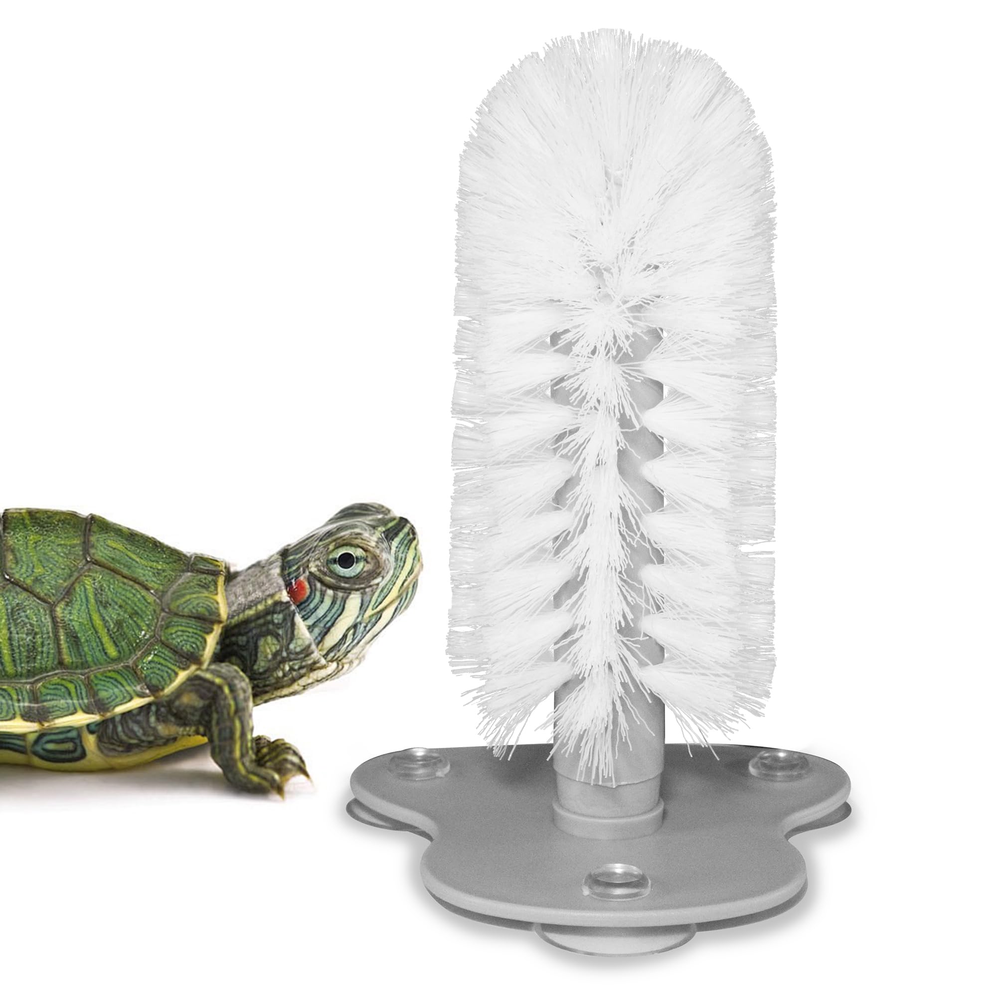Qpets Turtles Brush, Grooming Brush for Turtles with Suction Cup, Grooming Brush for Turtle Tank Soft Bristle Grooming Brush for Turtles Qpets Turtles Brush, Grooming Brush for Turtles with Suction Cup, Grooming Brush for Turtle Tank Soft Bristle Grooming Brush for Turtles